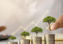 بانکداری ایرانی از وضعیت پایدار بیمه کارآفرین گزارش می دهد؛ جهش حق بیمه تولیدی سبب نوسان نسبت طبیعی توانگری مالی می شود