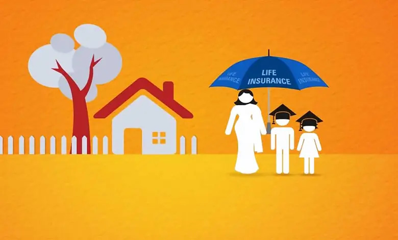 سود مشارکت و سود تضمینی بیمه عمر